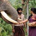 Kumki and Kumki 2 to be simultaneously shot?