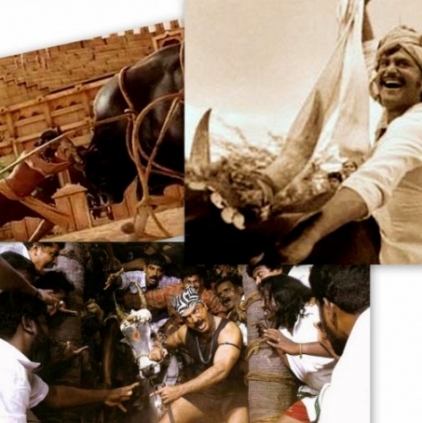 Rajini, Kamal and Rana's connection with Jallikattu Rajini, Kamal and Rana's connection with Jallikattu