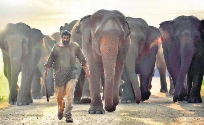 Rana Daggubati speaks about the Kaadan experience