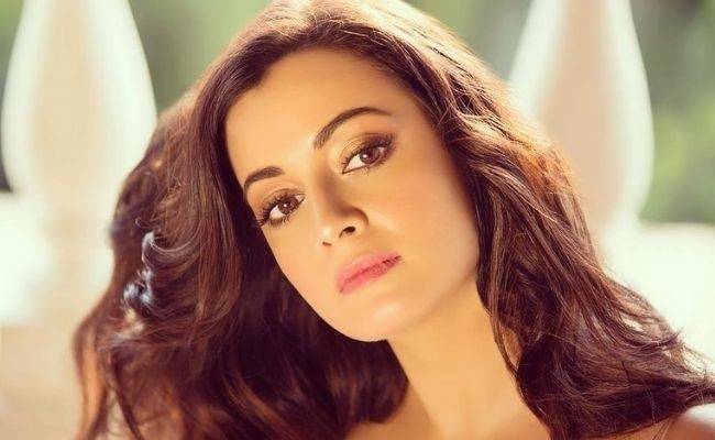 RHTDM fame Dia Mirza says she these incidents have damaged her career and reputation