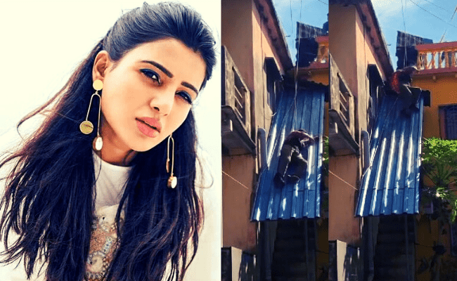 Samantha jumping from a roof-top is turning heads; co-star shares a viral video from The Family Man 2