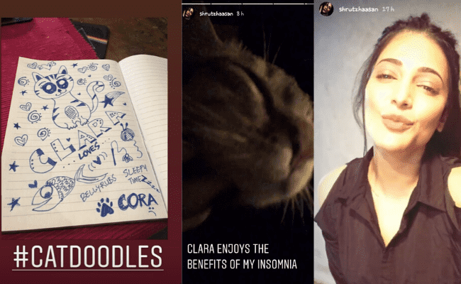 Shruthi Hassan does a cat doodle art during corona lockdown