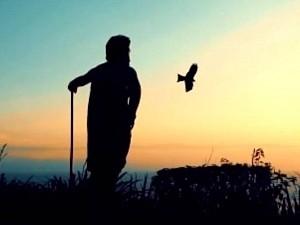 Massive: STR back to form; makes a marana mass re-entry! Viral video!