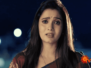 Sun TV 'Magarasi': First PROMO video after Srithika Saneesh's entry as Bharathi!