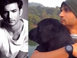 "It’s an O shaped mark...Sushant was killed using his dog's belt" - ex-assistant's shocking statement!