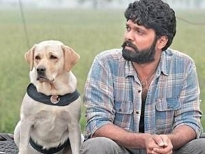 Official TEASER of Rakshit Shetty's '777 Charlie' releases - promises to be a cracker of a feast!