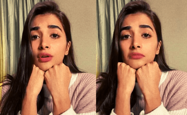 Thalapathy 65 heroine Pooja Hegde tests positive for Coronavirus