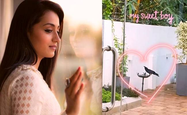 Trisha surprises fans revealing her sweet boy on Instagram