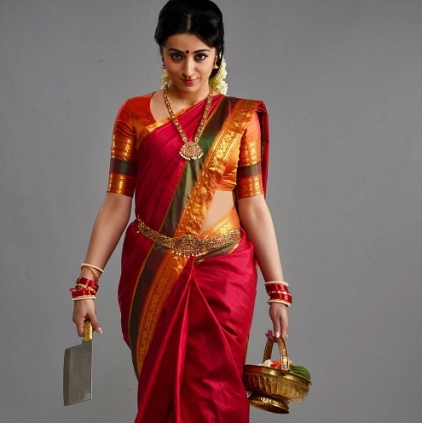 Trisha talks about why she hasnt promoted her film Nayaki