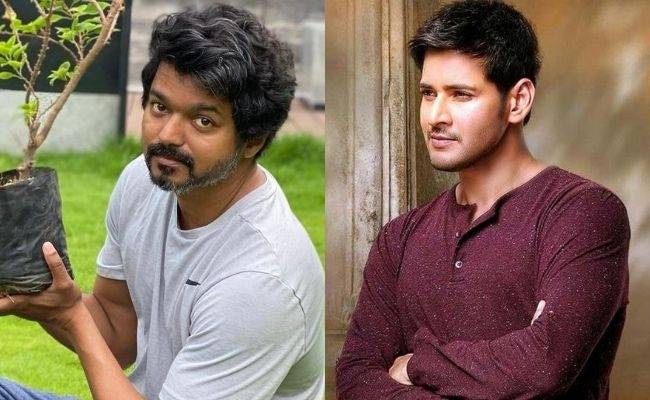 Vijay to not team up with Mahesh Babu for Thalapathy 65 movie