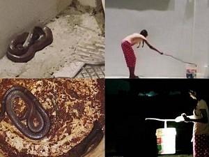 Daring indeed: Watch how this young actress tackles a snake single-handed!