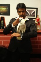 54321 (aka) 54321 Movie