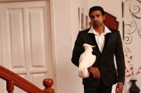 54321 (aka) 54321 Movie