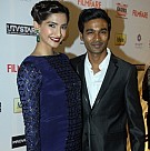 59th Idea Filmfare Awards 2013 Pre Awards Party