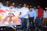 All in All Azhaguraja Audio Launch