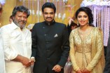 Amala Paul and Director Vijay Wedding Reception