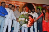 Baanu Movie Audio Launch