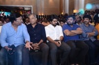  Bruce Lee The Fighter Audio Launch