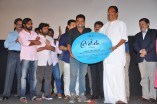 Cuckoo Audio Launch