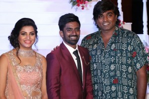 Dharan Kumar And Deekshitha Wedding Reception