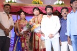 Diamond Babu Son Wedding Reception