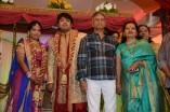 Diamond Babu Son Wedding Reception