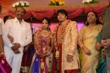 Diamond Babu Son Wedding Reception