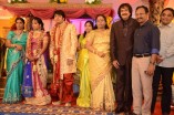 Diamond Babu Son Wedding Reception