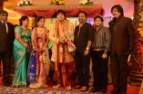 Diamond Babu Son Wedding Reception