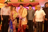 Diamond Babu Son Wedding Reception