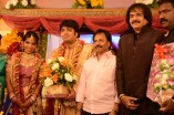 Diamond Babu Son Wedding Reception