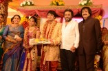 Diamond Babu Son Wedding Reception
