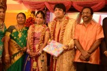 Diamond Babu Son Wedding Reception