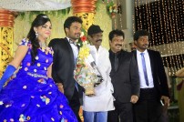 Director R. Pandiarajan's Son Prithvirajan Weds Akshaya Wedding Reception