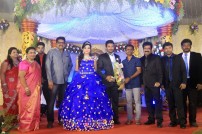 Director R. Pandiarajan's Son Prithvirajan Weds Akshaya Wedding Reception