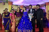 Director R. Pandiarajan's Son Prithvirajan Weds Akshaya Wedding Reception