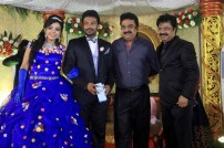 Director R. Pandiarajan's Son Prithvirajan Weds Akshaya Wedding Reception