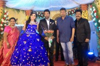 Director R. Pandiarajan's Son Prithvirajan Weds Akshaya Wedding Reception