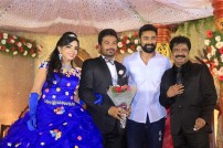Director R. Pandiarajan's Son Prithvirajan Weds Akshaya Wedding Reception