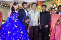 Director R. Pandiarajan's Son Prithvirajan Weds Akshaya Wedding Reception