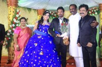 Director R. Pandiarajan's Son Prithvirajan Weds Akshaya Wedding Reception