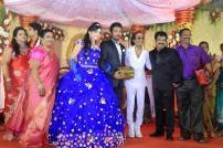 Director R. Pandiarajan's Son Prithvirajan Weds Akshaya Wedding Reception