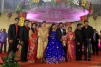 Director R. Pandiarajan's Son Prithvirajan Weds Akshaya Wedding Reception
