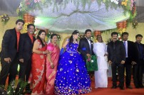 Director R. Pandiarajan's Son Prithvirajan Weds Akshaya Wedding Reception