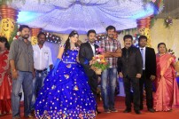 Director R. Pandiarajan's Son Prithvirajan Weds Akshaya Wedding Reception