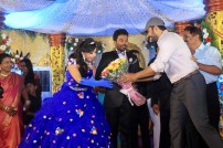 Director R. Pandiarajan's Son Prithvirajan Weds Akshaya Wedding Reception