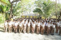 Film Chamber Distributed Free Solar Lights