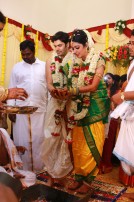 Ganesh Venkatraman - Nisha Wedding