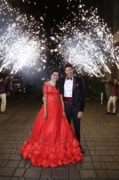 Ganesh Venkatraman-Nisha Krishnan wedding reception
