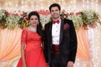 Ganesh Venkatraman-Nisha Krishnan wedding reception